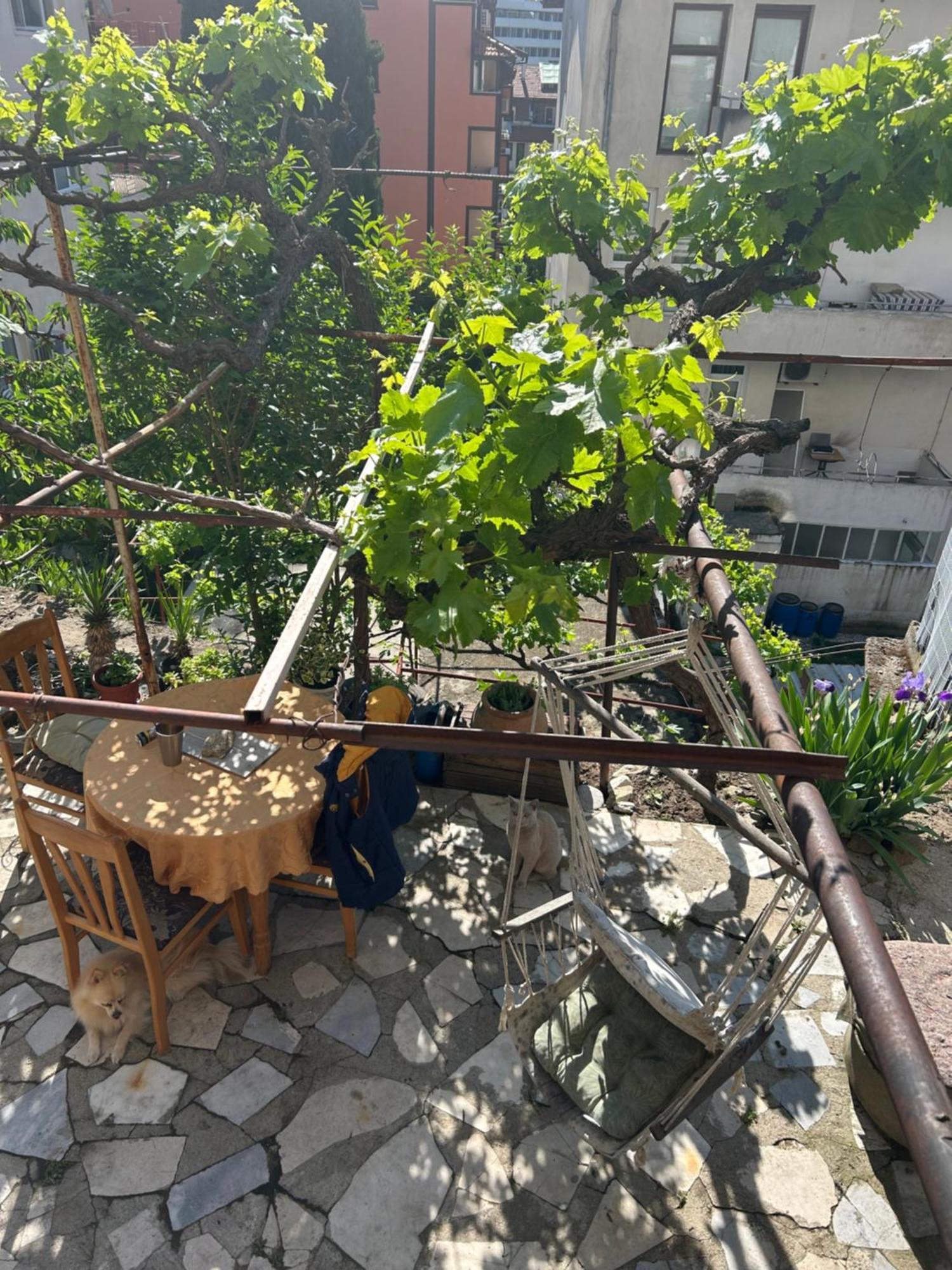 Didi House Apartment Sandanski Exterior foto